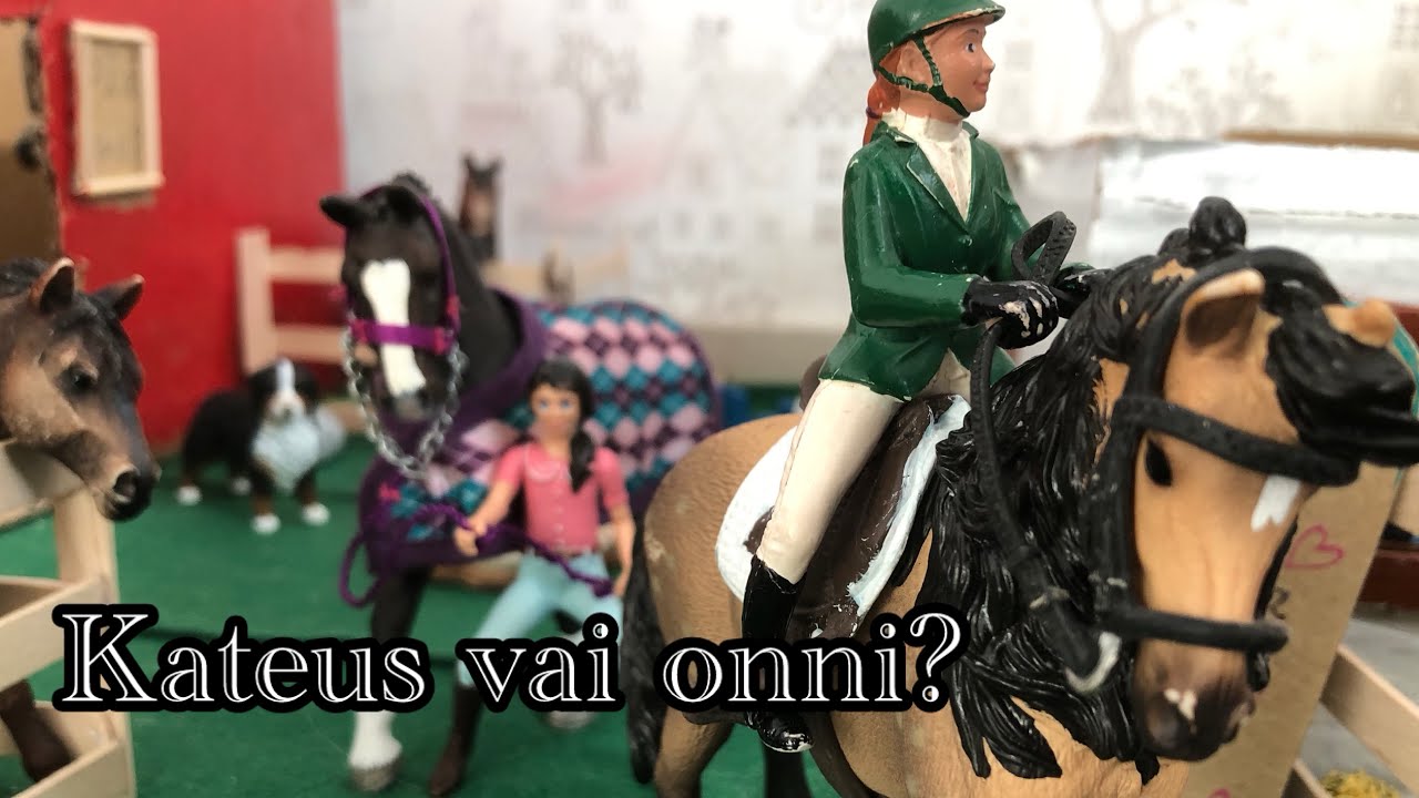 Kateus vai onni?💗