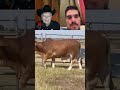 Ganaderia Don Pio Moreno ranch Brahman #ganaderia #brahman #honduras