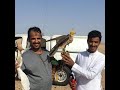 طرح اليوم طير في السعوديه منطقه الشعلان 9 10 2022 الرجاء اشترك بالقناه وفعل الحرس