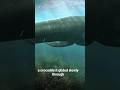 The Sea Monster With the Endless Neck. #prehistoricanimals #lostworldcreatures #facts