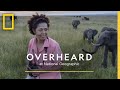 Kenya’s Wildlife Warriors | Podcast | Overheard at National Geographic