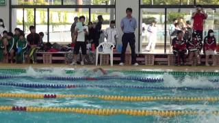 20140427171249春季室内選手権水泳競技大会2リレー