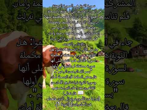 لماذا لا تبدأ سورة التوبة بالبسملة لايك اشتراك اكسبلور ديننا و دنيانا تيك توك القرآن الكريم