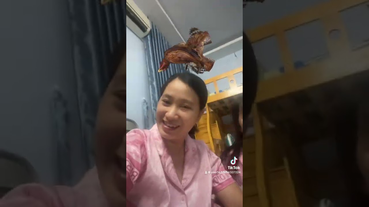 Lắc muốn trẹo cổ🤪🤪🤪