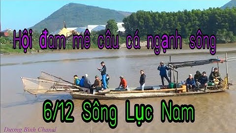 Giao lưu câu cá trên sông Lục Nam  cùng anh Hội đam mê câu cá ngạnh sông