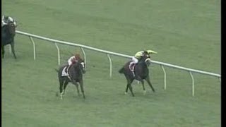 Kittens Joy -Vs- Artie Schiller - 2004 Virginia Derby