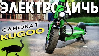 Обзор электросамоката KUGOO от Delivery Club Обзор электросамоката KUGOO от Delivery Club