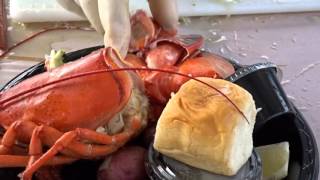 Redondo Beach Lobsterfest 2015 - Lobster, Lunar Eclipse and Berlin Headlining