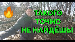 Невероятная находка с открытия поискового сезона 2023 года!