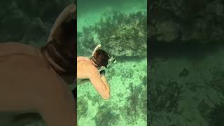 #diving #crab #catchthesea #seaside #seafood #fish #eel #lobster #seangsolofishing