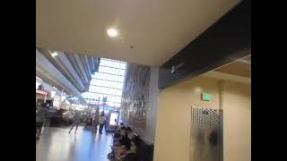 A brief look around the Contemporary resort