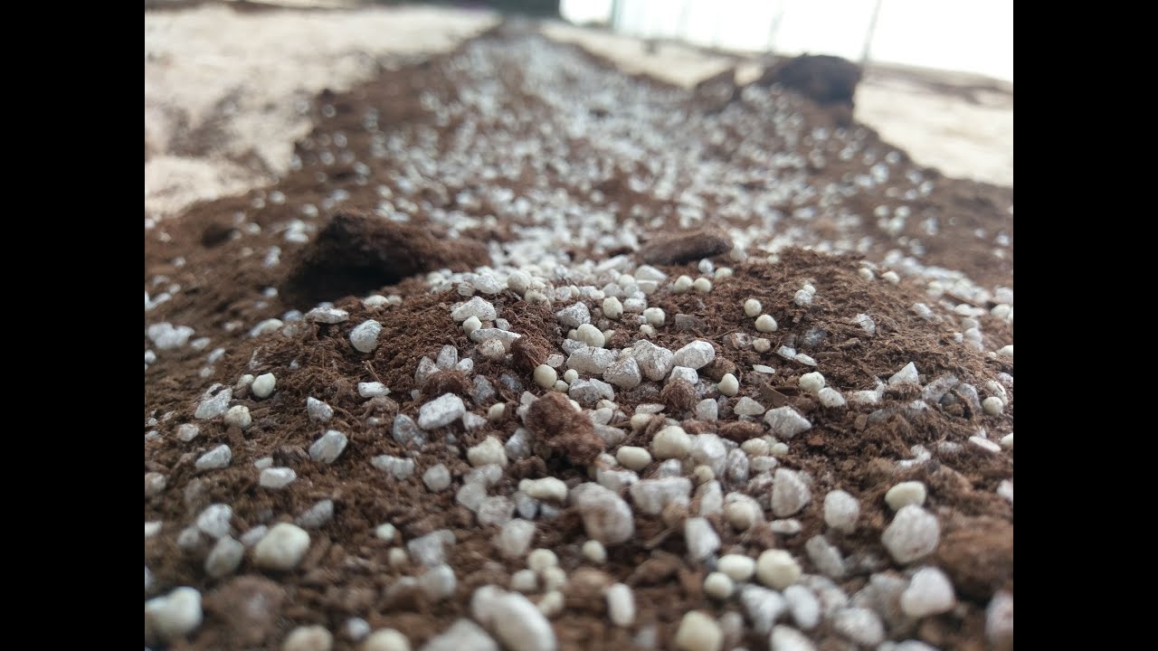 الاسمدة العضوية وأسمدة الأساس و تحسين خصوبة التربة Improve soil fertility and base fertilizer