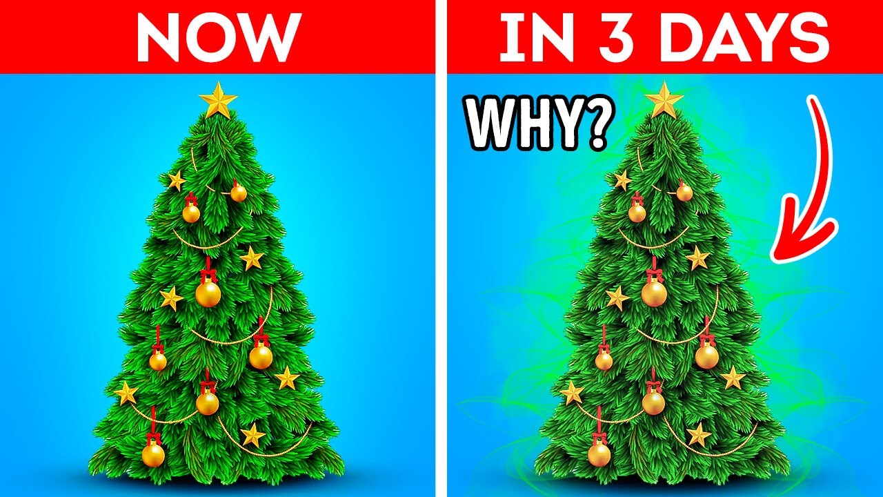 If Your Christmas Tree Stinks, Get Rid of It Right Away, and Here Is