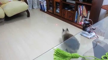 Laser Pointer controlado por Arduíno