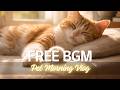 FREE No Copyright Music ☀️ | Pet Morning Vlog | Bright &amp; Upbeat (Free Download) | For Beginners