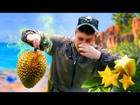 Video: Durian - Tay Ekzotik