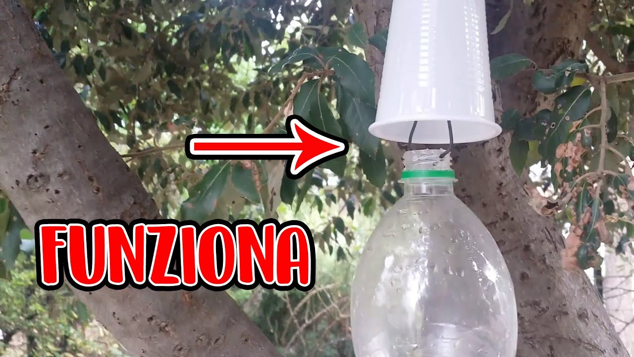 Snapy - Acchiappainsetti Verde | Trappola Istantanea Per Mosche E Zanzare - Foto 5