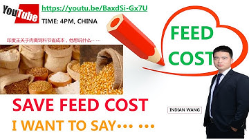 In Poultry Feed Production,Save Feed Cost with Feed Supplement Bile Acid, Increase Broiler Growth BW