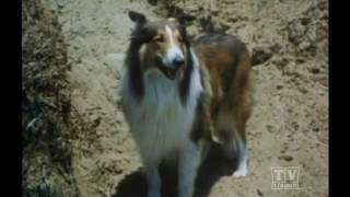 2 Rangesr Lassie (Season 15 Eps12  Out of the Frying Pan)