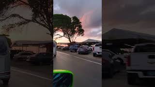 Dominican Republic #reels #travel #cruisetour #доминикана #shorts #shortvideo #турыонлайн #subscribe