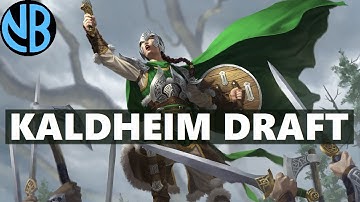 KALDHEIM DRAFT!!! BACK TO MY WINNING WAYS!!!