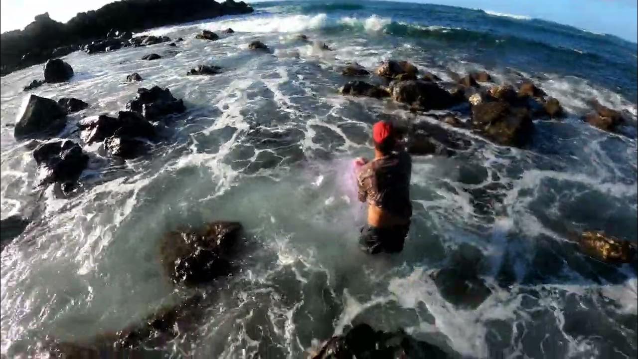 Throw Net Hawaii Dustin and Kaleo YouTube