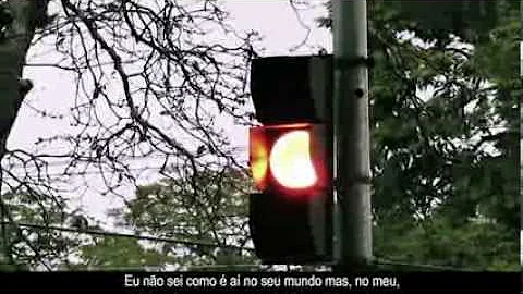 Como seria nossa sociedade se as regras não existissem?