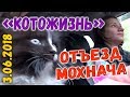 Отъезд мохнача ❖ КОТОЖИЗНЬ! 3 июня 2018