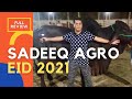 Sadeeq Agro | A Largest Cattle Farm In Bangladesh | EID Ul Adha 2021