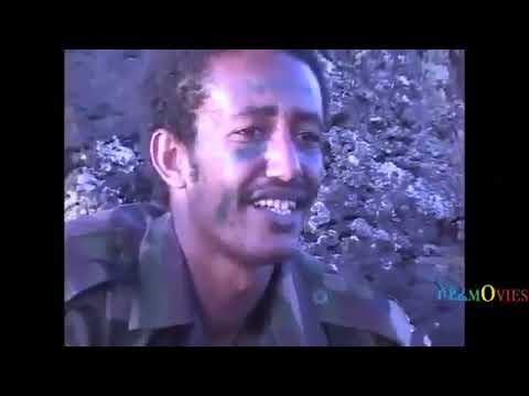 ቪዲዮ: ታሪካዊ ተከታታይ እና ፊልሞች