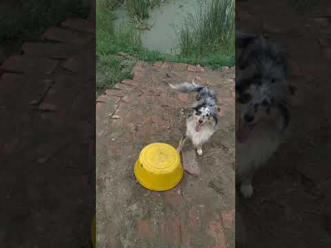  20190913 1620010