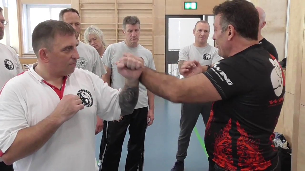 WINGFIGHT Sifu Victor Gutierrez meets Wing Tsung Kiel Tag 2