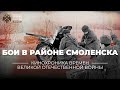 Вести с фронтов. Западный фронт. Бои в районе Смоленска. Новости дня