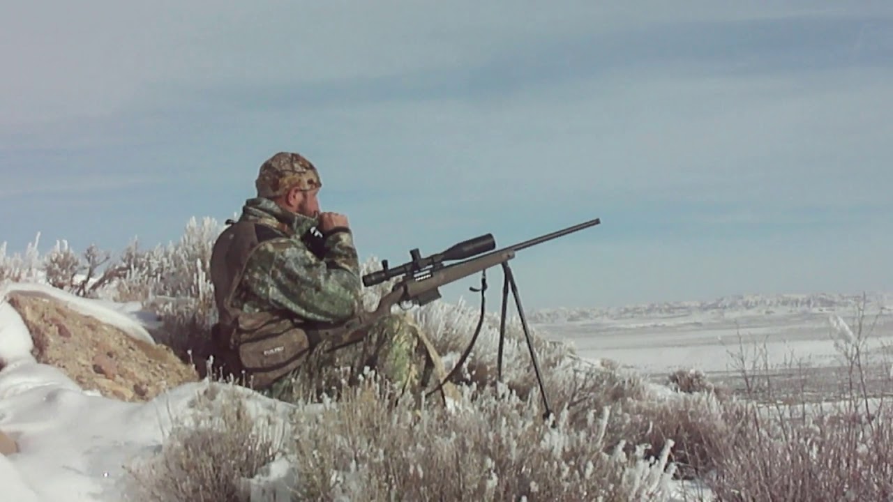 Wyoming coyote hunting: stick shakers in the snow.