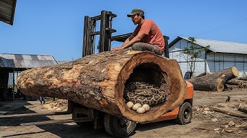 Danger Lurks in This Red Wood ‼ Sawmill Workers Stunned by Hidden Creatures