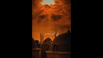 #ناصر_القطامي #سورة_فصلت #صوت_جميل #صوت_هادئ #راحة_نفسية 😑🤍🤲🏻