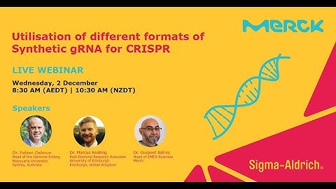 [Webinar] Utilisation of different formats of Synthetic gRNA for CRISPR