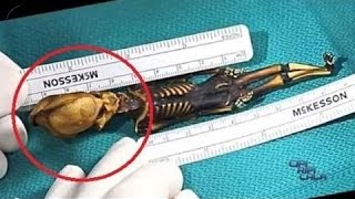 В СИБИРИ НАШЛИ ИНОПЛАНЕТНОГО АСТРОНАВТА, КЫШТЫМСКИЙ КАРЛИК-ПРИШЕЛЕЦ. . Последние дни на марсе. В СИБИРИ НАШЛИ ИНОПЛАНЕТНОГО АСТРОНАВТА, КЫШТЫМСКИЙ КАРЛИК-ПРИШЕЛЕЦ. . Последние дни на марсе.