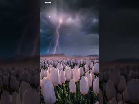 Спокойной ночи, сладких снов! #красота_начинается_с_души