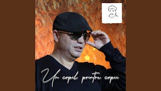 Si Daca Beau Nu Imi Pare Rau