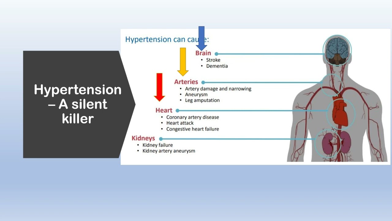 Hypertension Actual The Silent Killer YouTube Hypertension Actual The Silent Killer YouTube