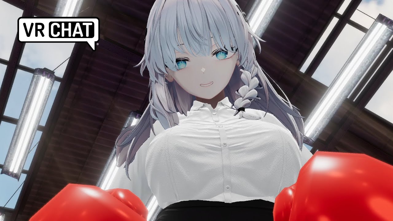 Fantastic beat down VRchat POV BOXING