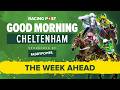 Cheltenham Festival 2026 Week Ahead Preview | Tips from Paul Kealy, Johnny Dineen & David Jennings