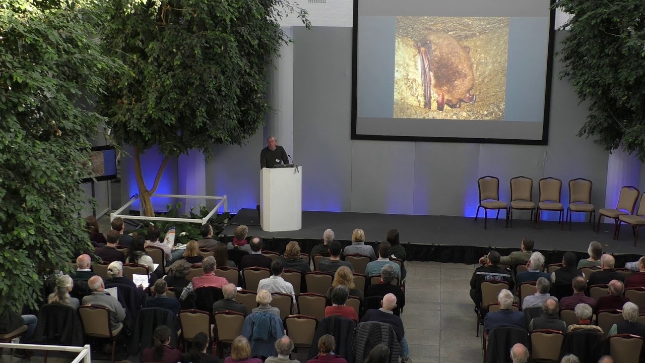 Suffolk Bat Group  - The First 35 Years  - Alan Miller