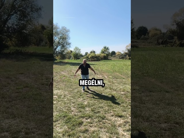 Isten nem azért hagyott a pusztában, mert elfelejtett téged! 🏜️👇