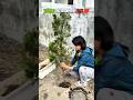World Environment Day ❤️✨!! #unacademy #seeppahuja #neet #motivation #viral #ytshorts