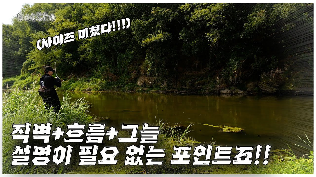 지금 배스들은 이런 곳에서 먹잇감을 기다리고 있습니다!(feat.김민)