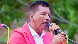 El Donny Y Sus Jrs - Quédate Sola/Ando Buscando Un Amor/Un Sueño