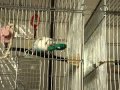 殺気を感じて