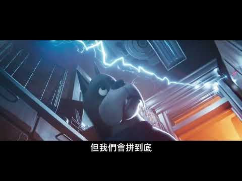 【DC超級寵物軍團】10秒超能力篇中文版，8月11日(週四) 中英文版同步上映